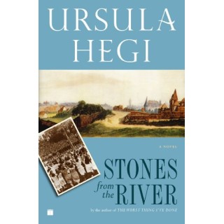 Stones From The River (First edition)